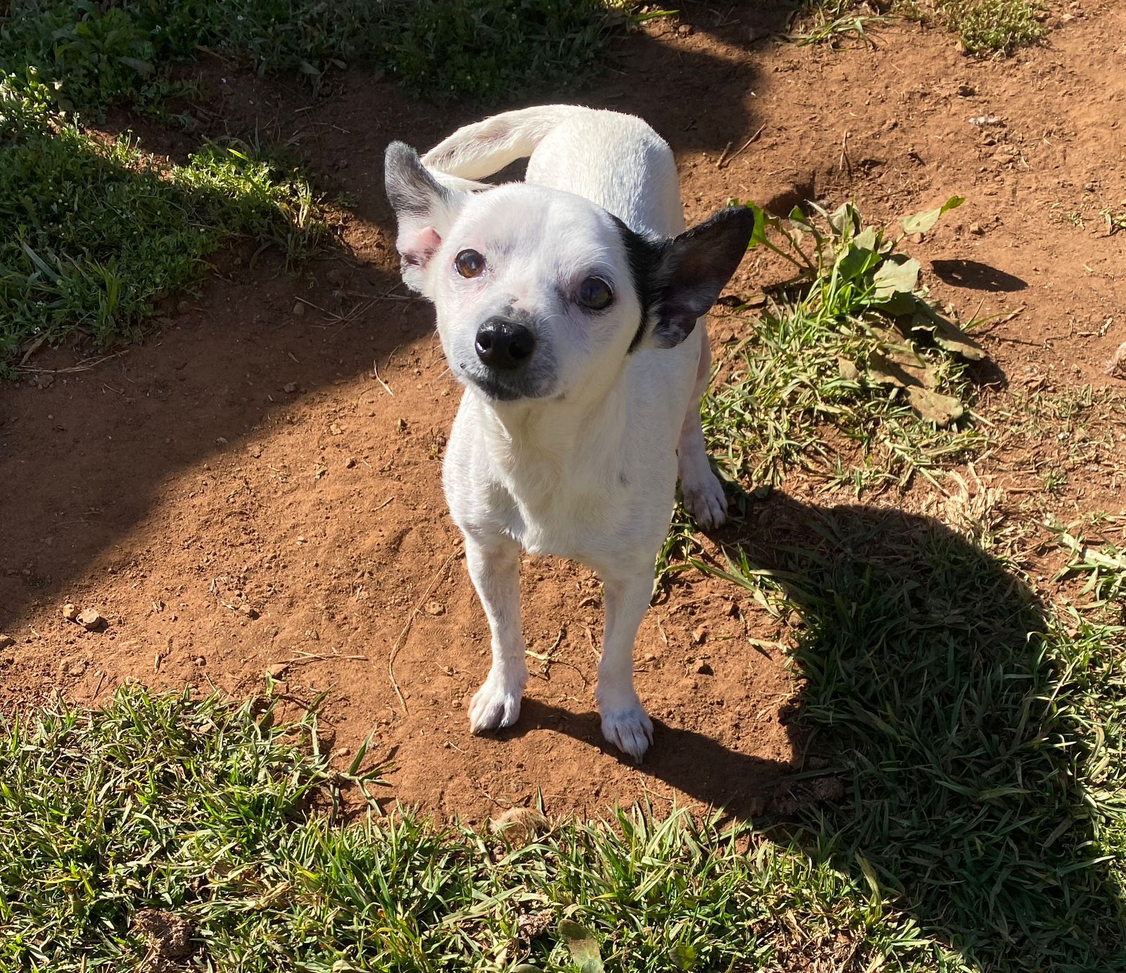 Sadie - Image 2